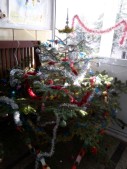 20161221_103015.jpg